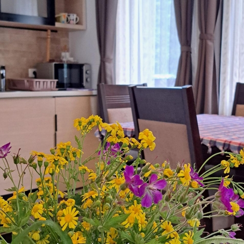 Kamena kuća - Apartman br.5
